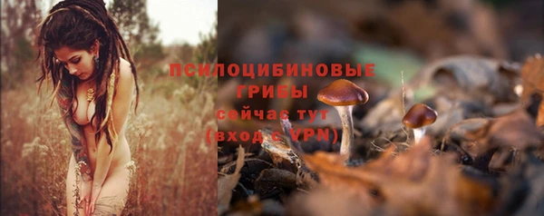 не бодяженный Зерноград