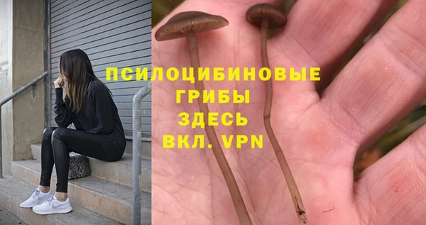 не бодяженный Зерноград